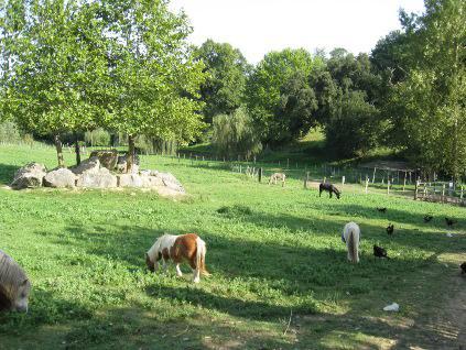 La Ferme Des 4 Chenes Hotel Urt Luaran gambar
